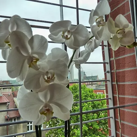 Tartaczna Deluxe Apartament Gdańsk