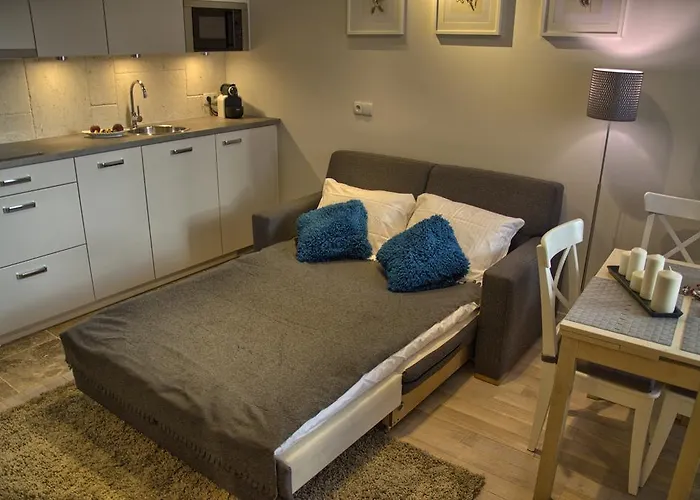 Appartement Tartaczna Deluxe