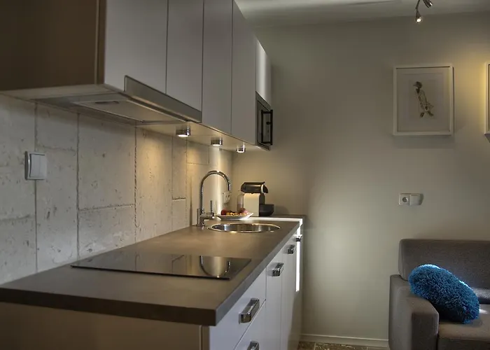 Appartement Tartaczna Deluxe *