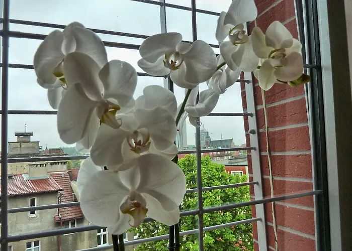 Tartaczna Deluxe Apartamento Gdańsk