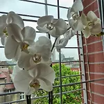 Tartaczna Deluxe Apartamento Gdańsk