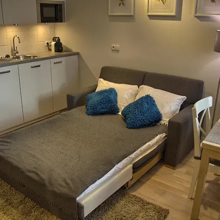 Appartement Tartaczna Deluxe